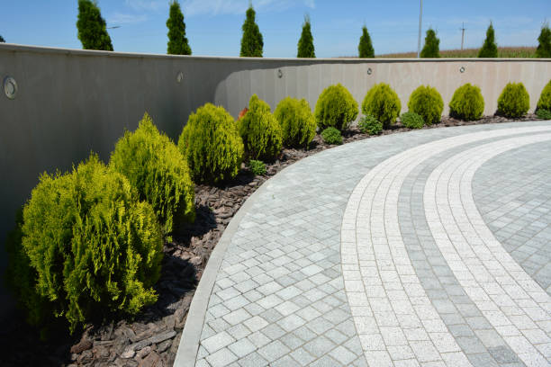 Best Local Driveway Pavers  in Alma, MI